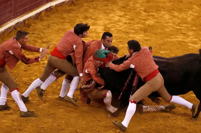 Rechazado el proyecto de ley que pretendía abolir las corridas de toro en Portugal