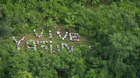 Imagen aérea del Parque Nacional Yasuní