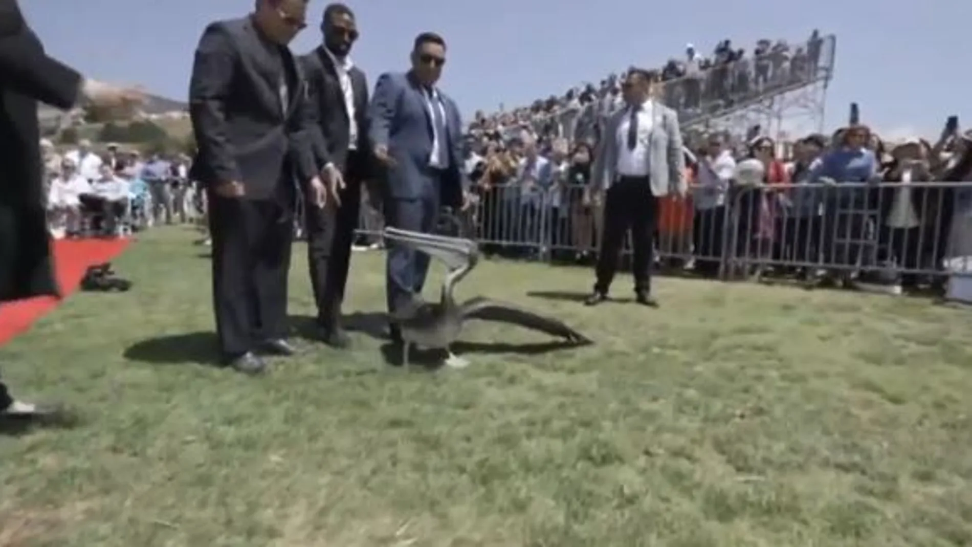 Imagen del vídeo de Atlas de la ceremonia de graduación