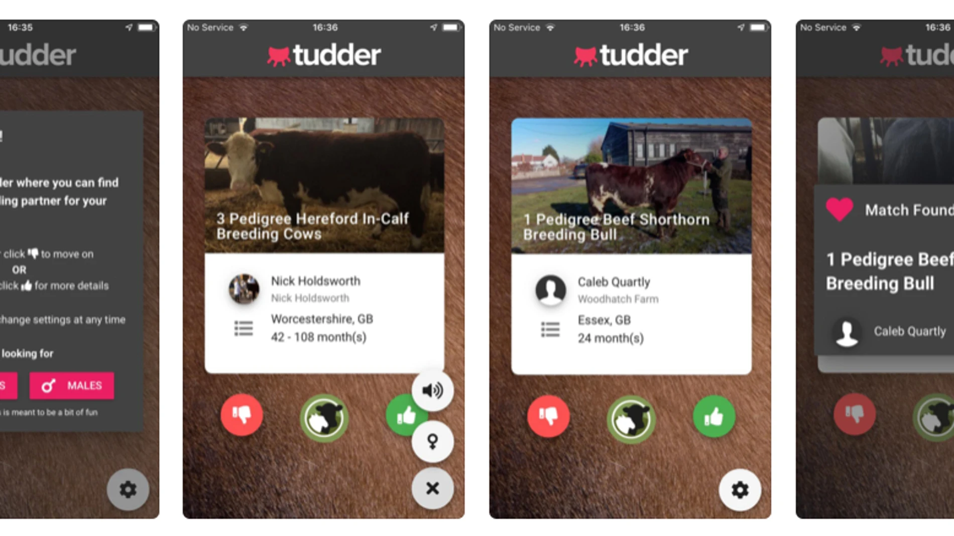 La app de citas para vacas Tudder