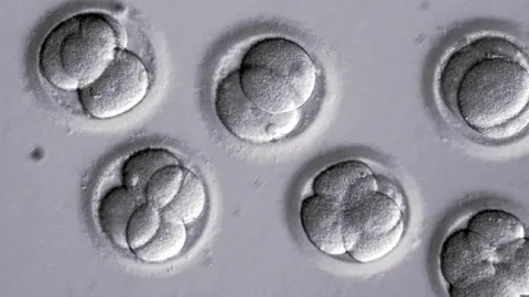 Un grupo de científicos ha conseguido borrar una enfermedad genética en embriones humanos