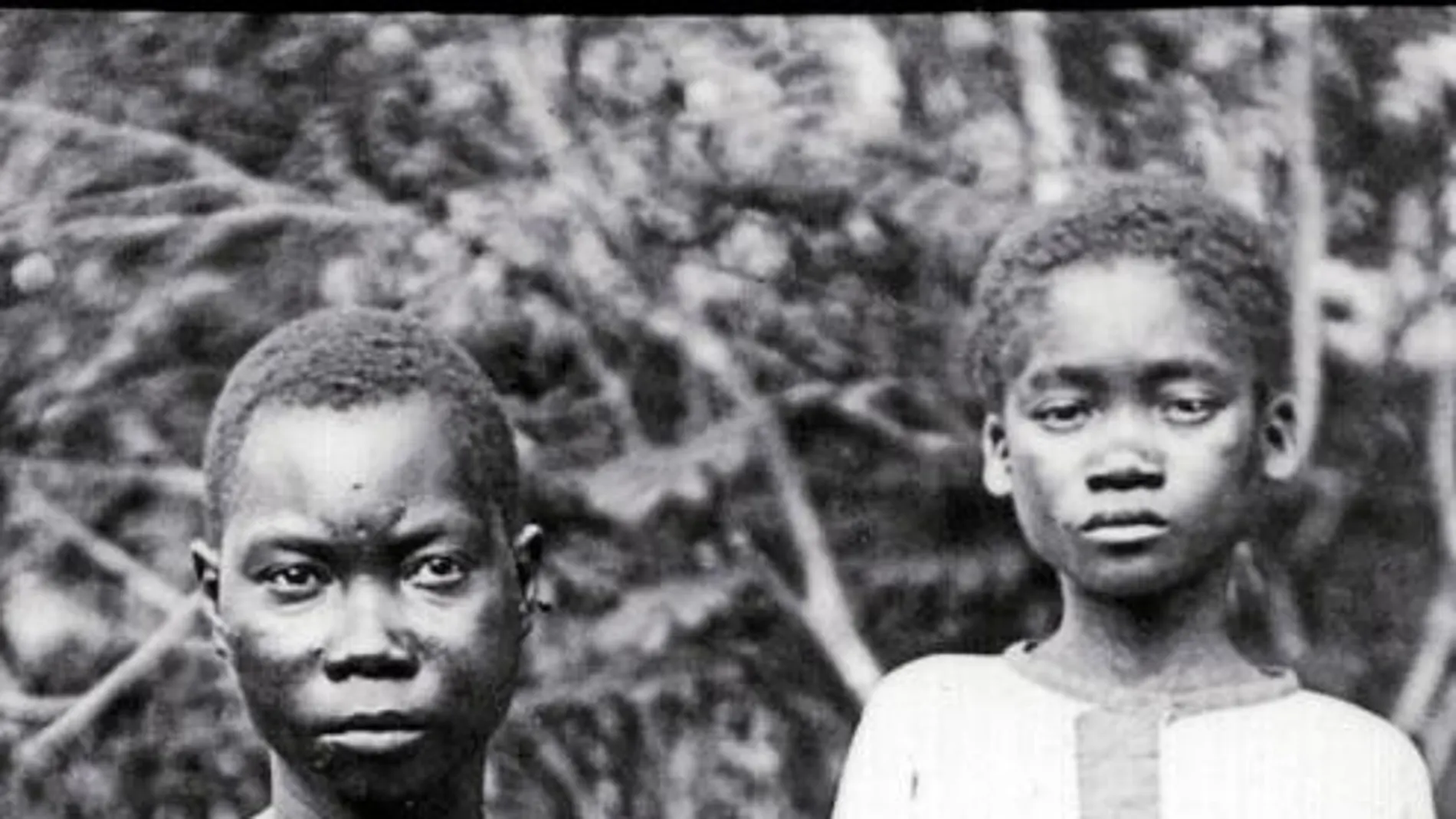 La mitad de la población congoleña fue aniquilada durante el colonialismo belga; otro alto porcentaje, mutilado