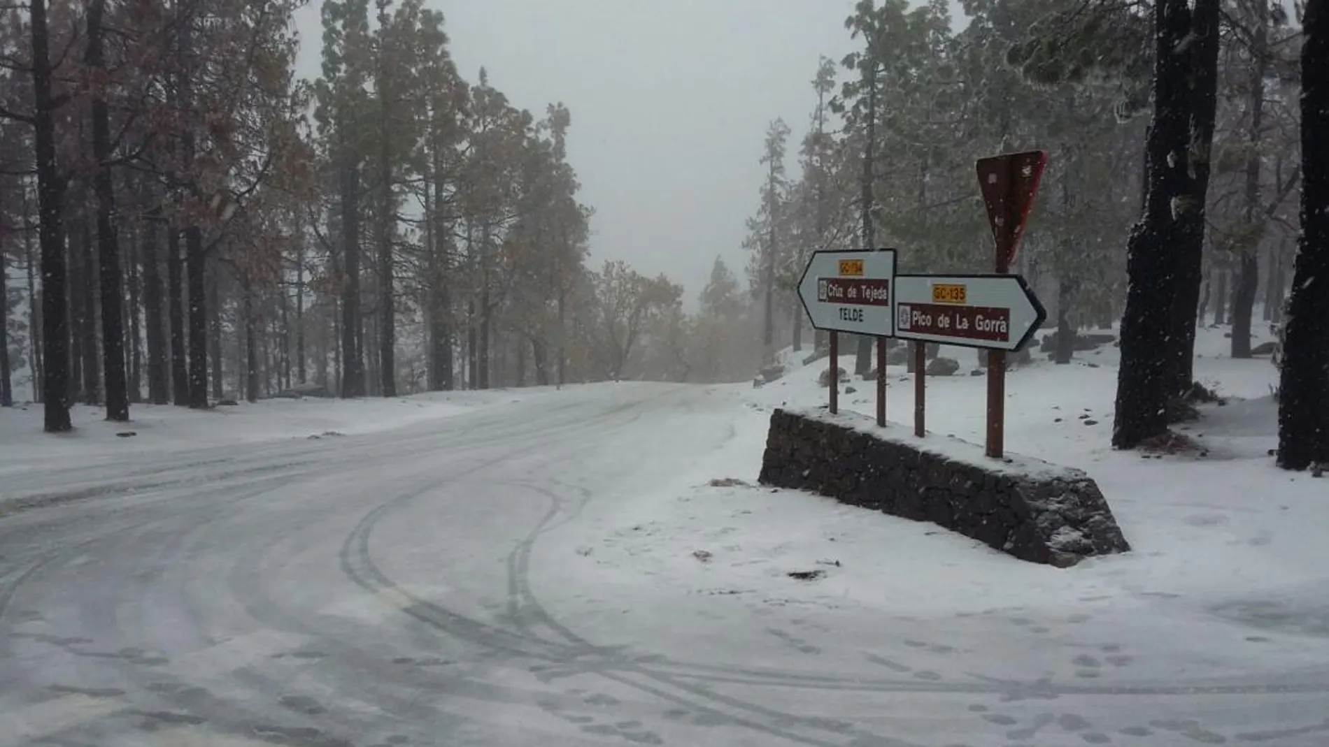 Las fuertes nevadas llevó a que mucha gente subieran a la cumbre a pesar de que las carreteras estaban cortadas