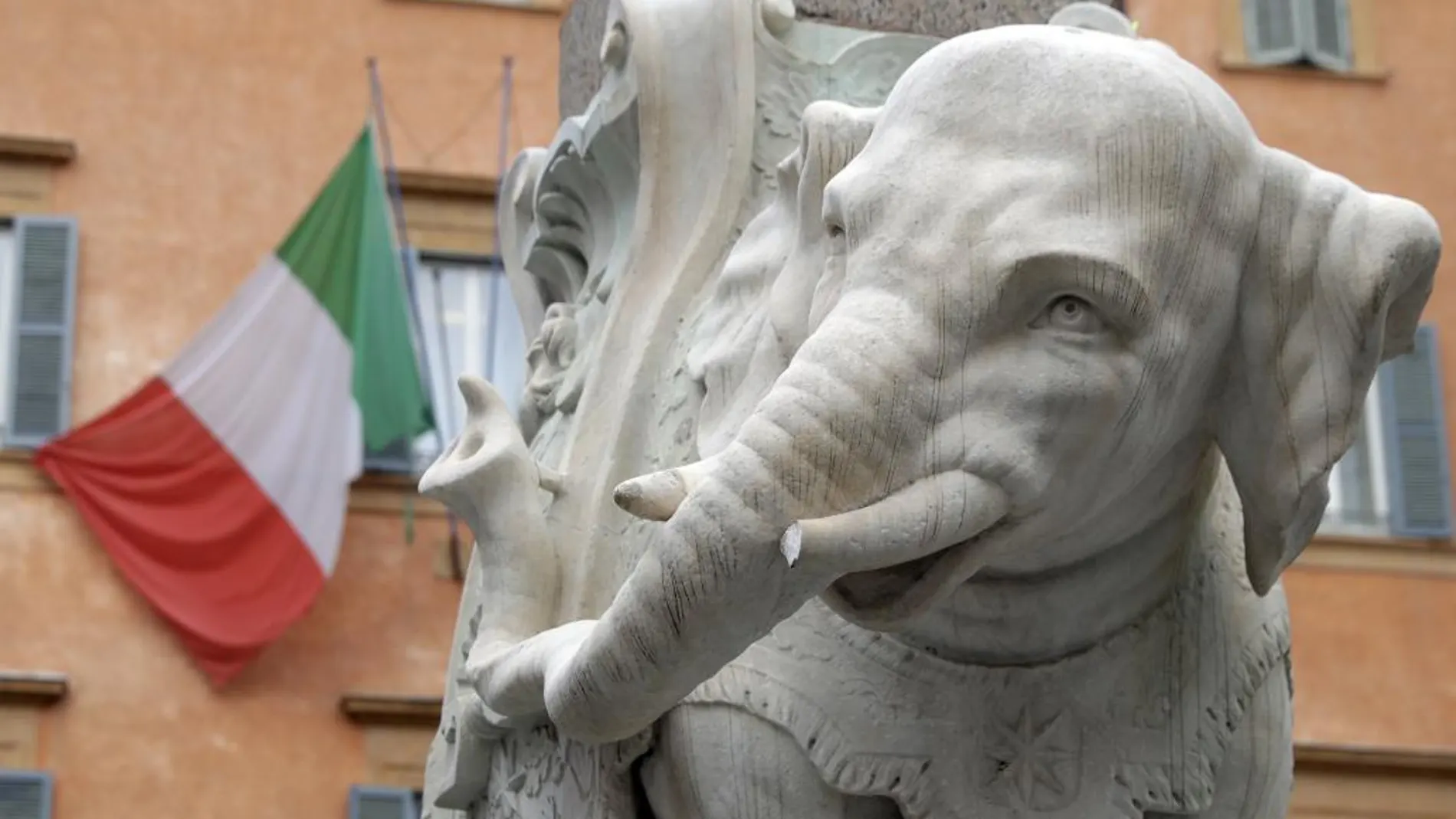 Detalle del colmillo dañado en la estatua del elefante de Gian Lorenzo Bernini