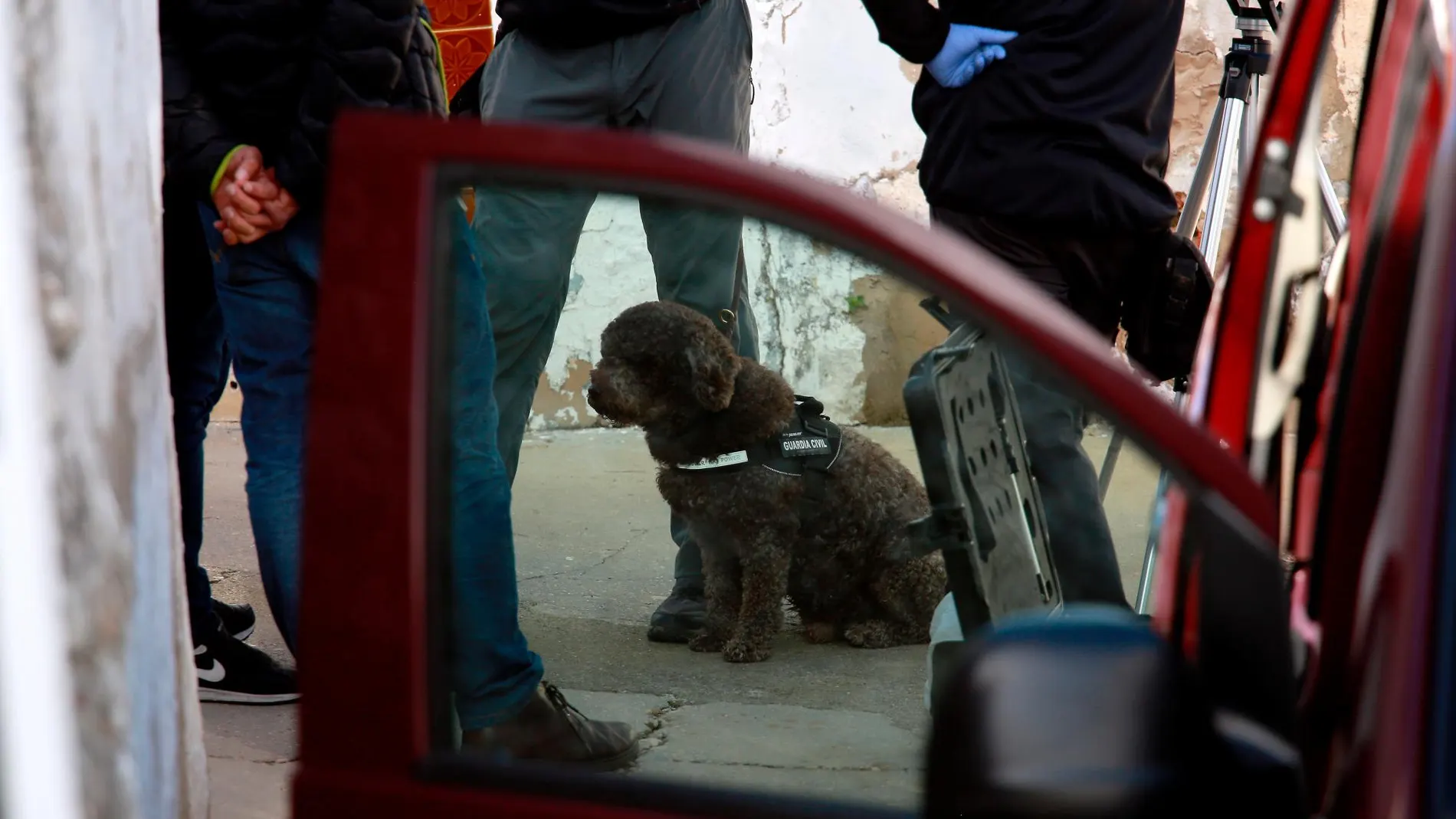 Uno de los perros expertos en encontrar restos biológicos en la casa de Montoya en El Campillo
