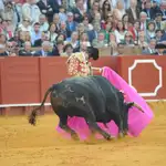  La media al toro negro de Cuvillo