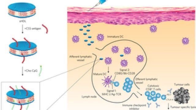 Esquema del funcionamiento de los nanodiscos contra el tumor