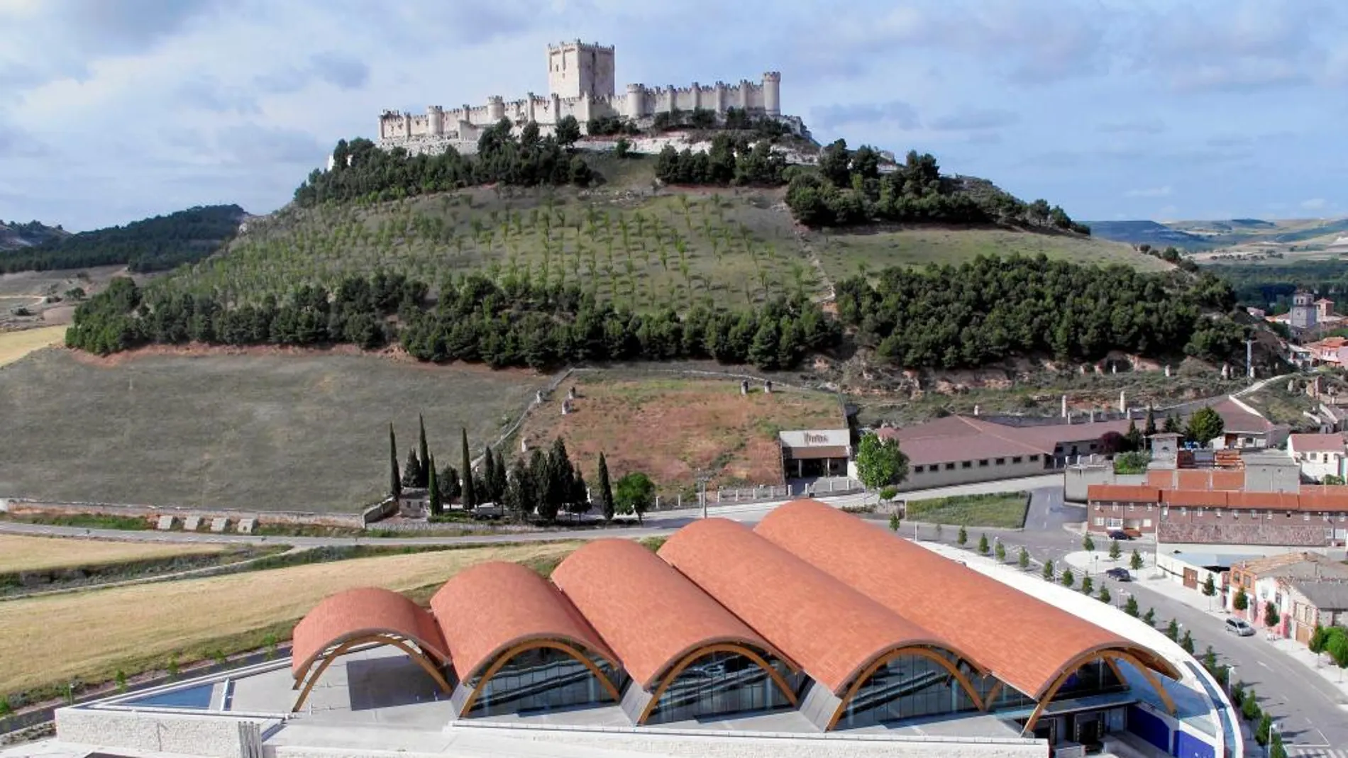 La bodega se ubica a los pies del castillo de Peñafiel (Valladolid)