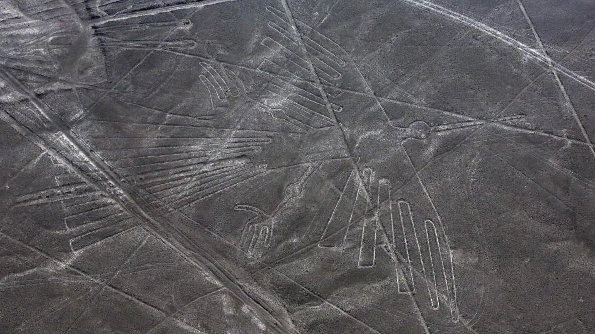 El origen de las líneas de Nazca es un enigma que a acompañado a la humanidad desde hace años