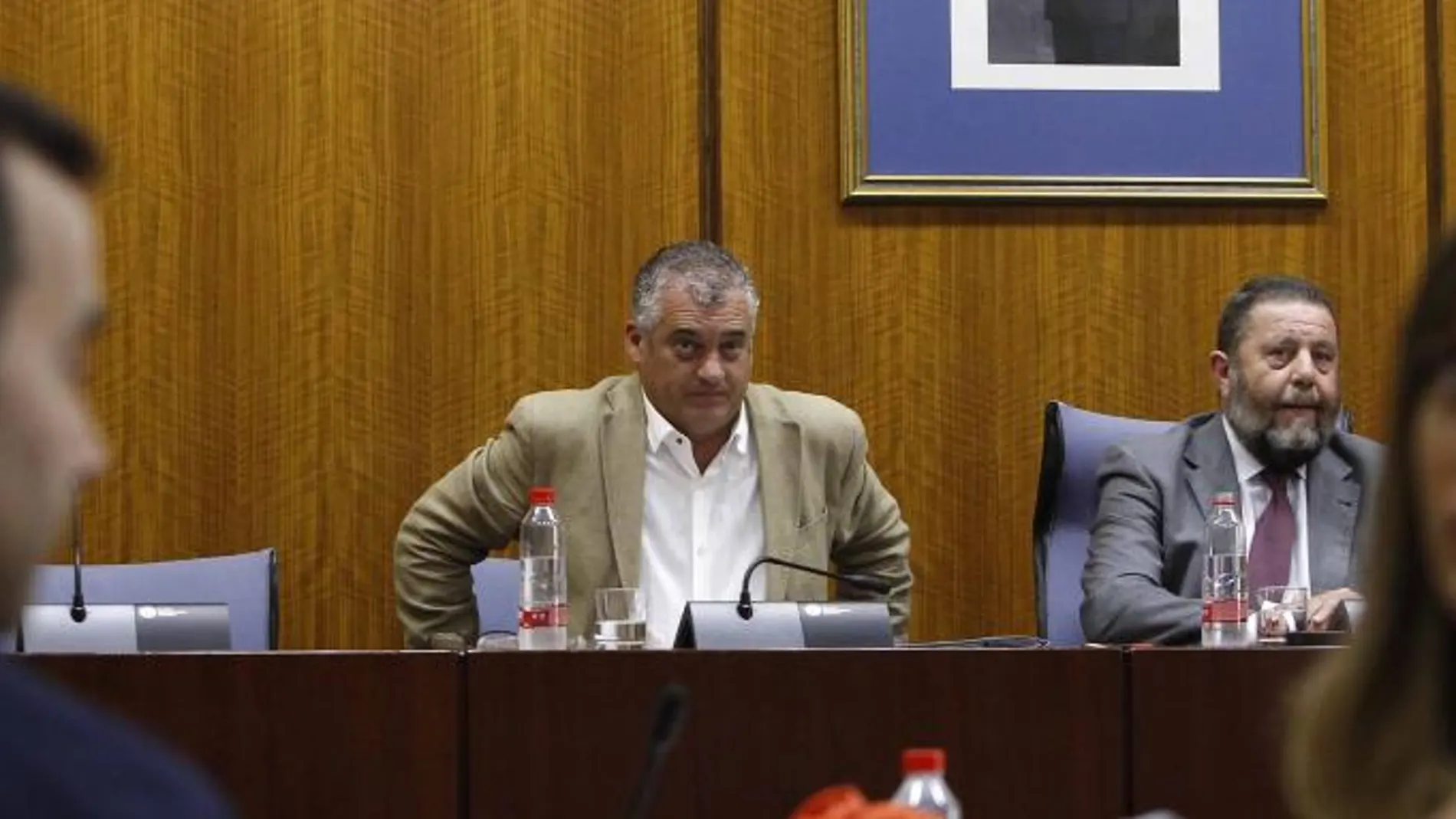 El consejero de Empleo, Javier Carnero, ayer en comisión parlamentaria (Foto: Manuel Olmedo)