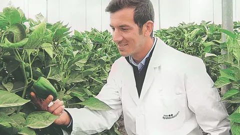 Estos productos naturales tienen que superar todavía algunos escollos legales, aunque son tendencia en el mercado agrario