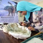 Una investigadora trabaja con los restos de la mandíbula del nuevo ejemplar de dinosaurio «Mansourasaurus» , descubierto por científicos de la Universidad de Mansura en Egipto