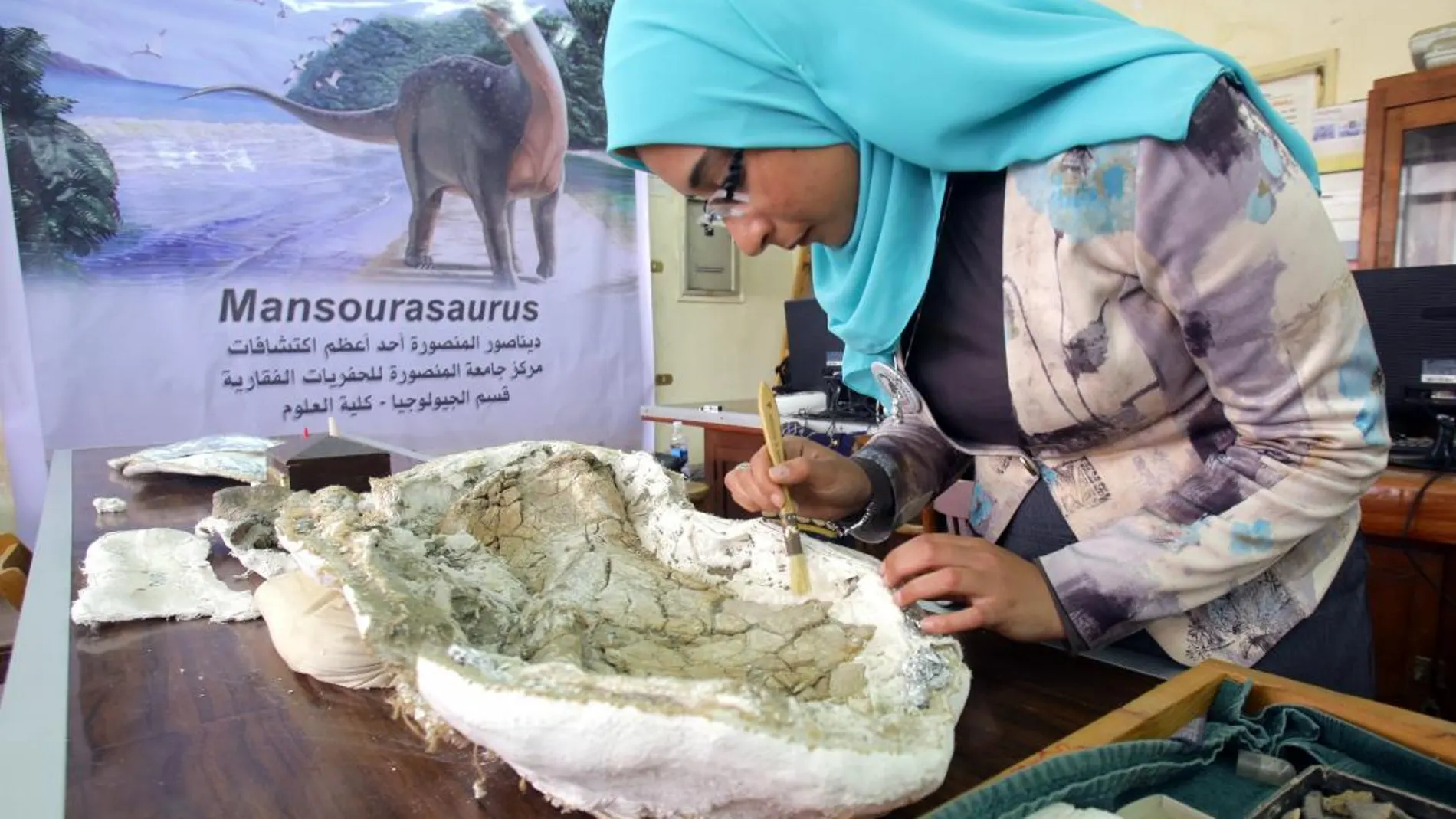 Una investigadora trabaja con los restos de la mandíbula del nuevo ejemplar de dinosaurio «Mansourasaurus» , descubierto por científicos de la Universidad de Mansura en Egipto