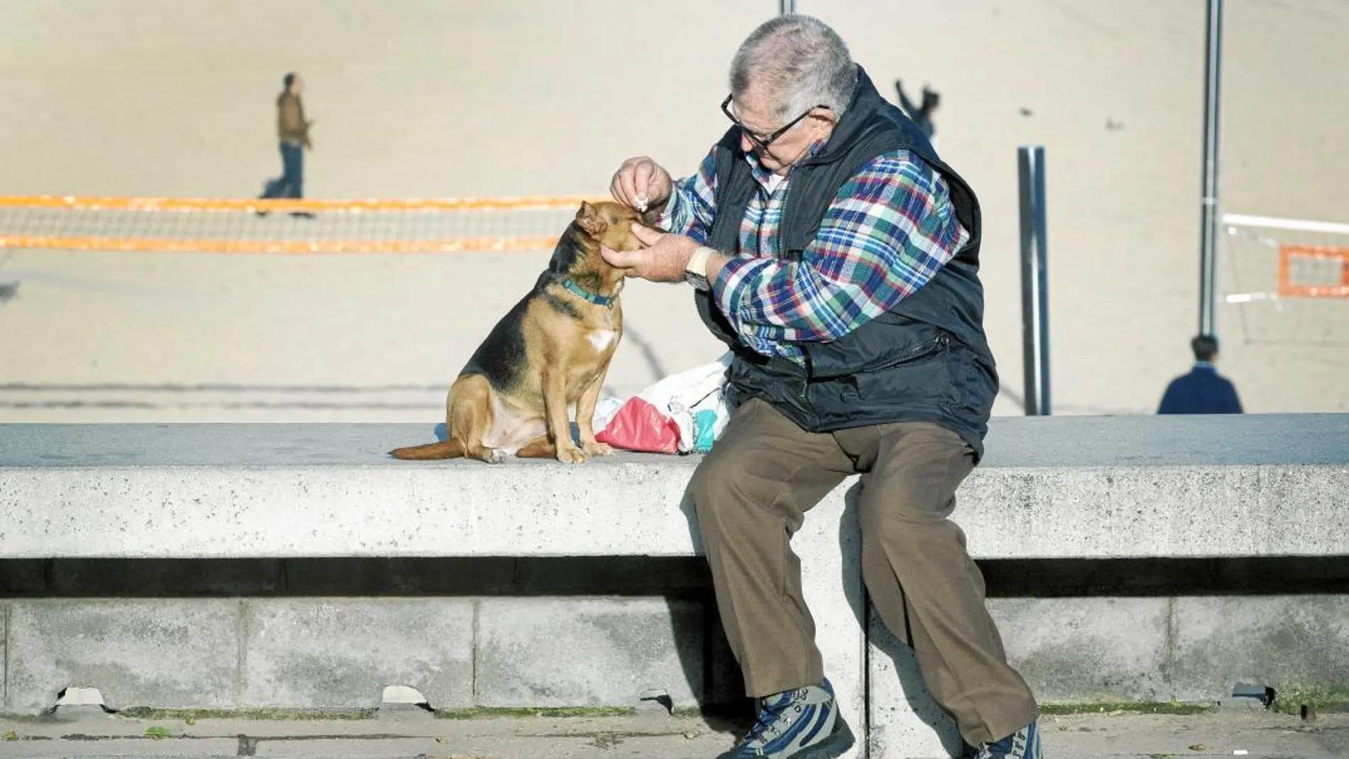 Un hombre cuida de su perro en la playa de la Barceloneta. Foto: Shooting