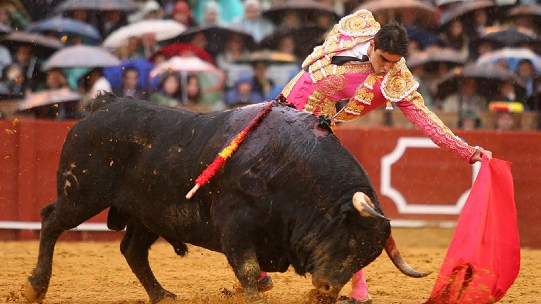 Miguel Ángel Perera, en La Maestranza