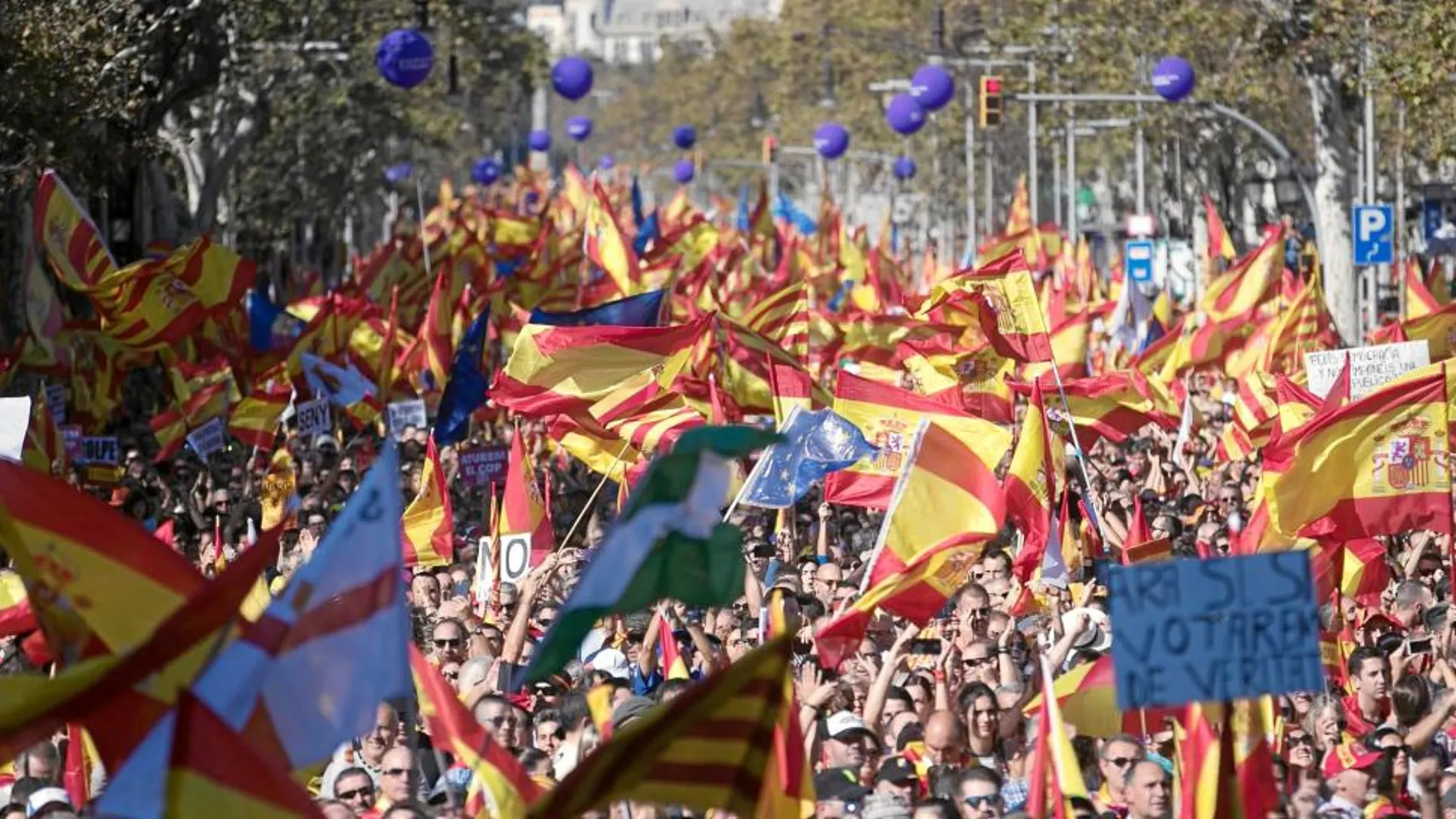 Las últimas convocatorias de Societat Civil Catalana en Barcelona, y en el resto de Cataluña, han registrado una gran afluencia de asistentes, y parece que cada vez va a más