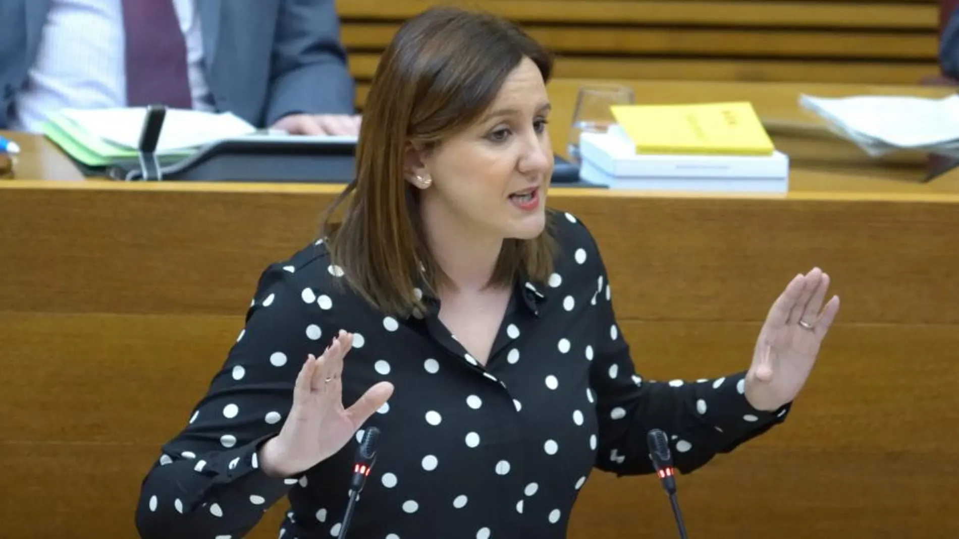 La diputada del PP, María José Català, defendió la necesidad de una financiación estable para estas organizaciones