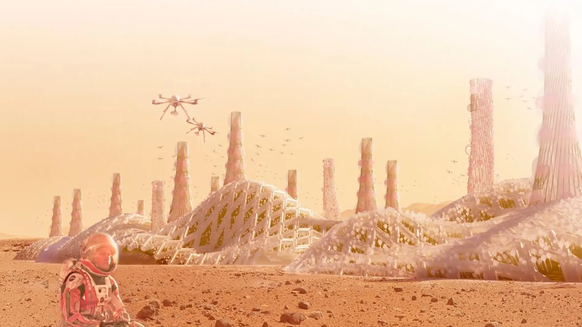 Un equipo español recibe el premio a mejor proyecto universitario del HP Mars Home Planet