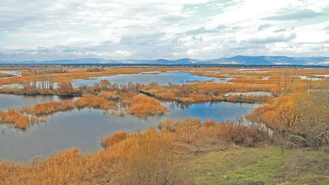 Coca-Cola en España colabora con WWF en el proyecto Misión Posible, gracias al cual se ha hecho más eficiente el riego en la zona