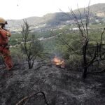 El fuego ha arrasado cuatro hectáreas de monte bajo