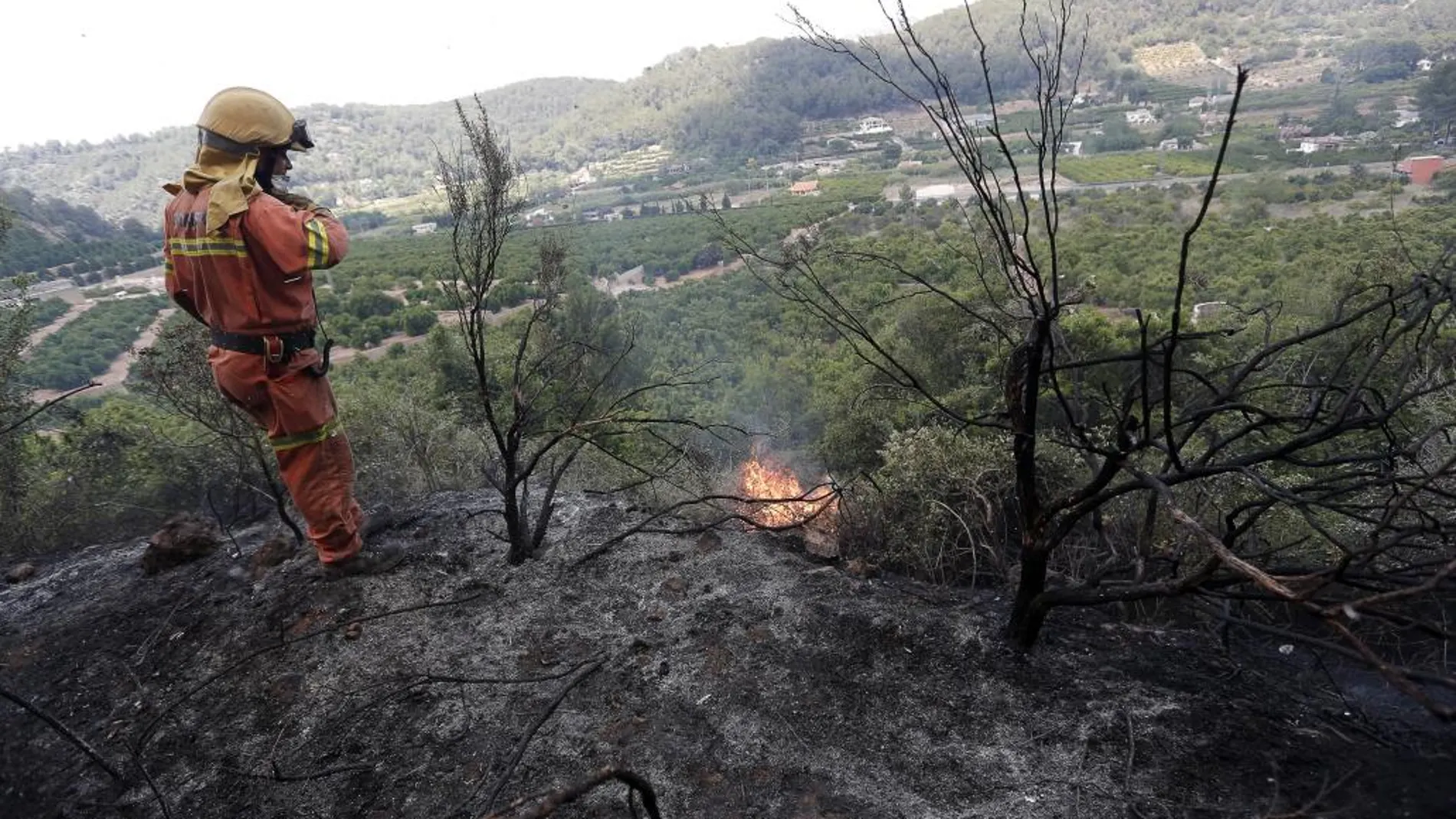 El fuego ha arrasado cuatro hectáreas de monte bajo