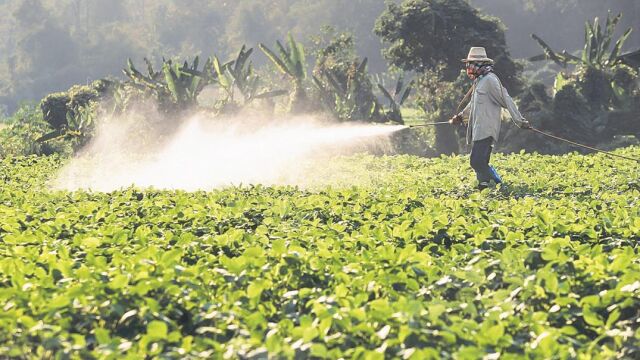 La Comisión dictamina que los estados miembros pongan especial atención en la protección del agua subterránea en áreas vulnerables; en la protección de los operadores y usuarios aficionados; en el riesgo para los vertebrados y plantas que no sean el objetivo de los tratamientos, etc.