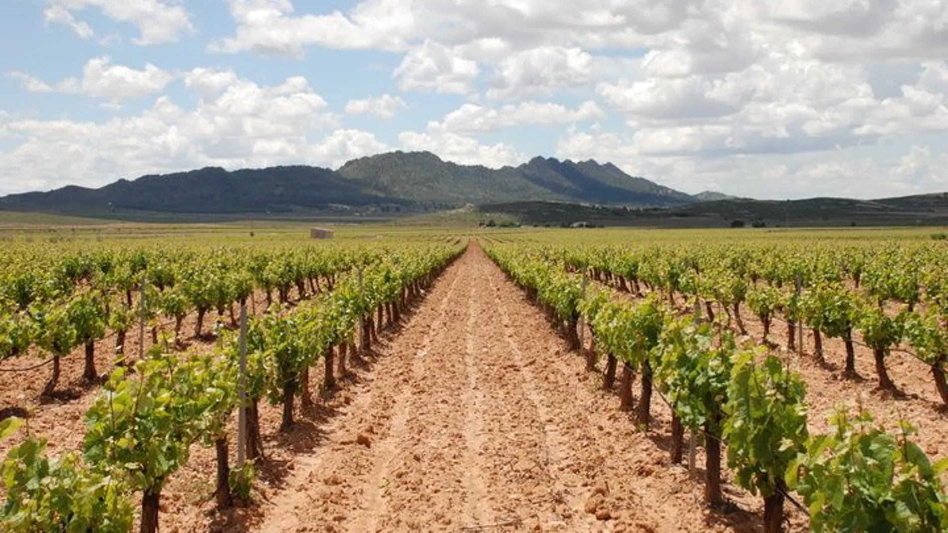 La Comunidad concede 5 millones en ayudas a 173 jóvenes para crear empresas agrarias