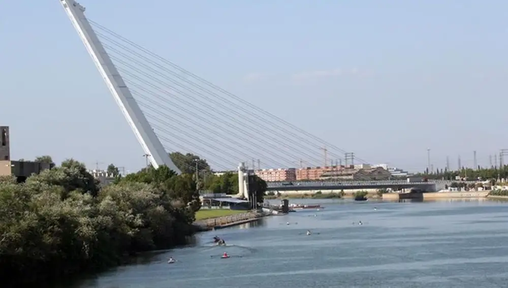 El parque del Alamillo tras el puente