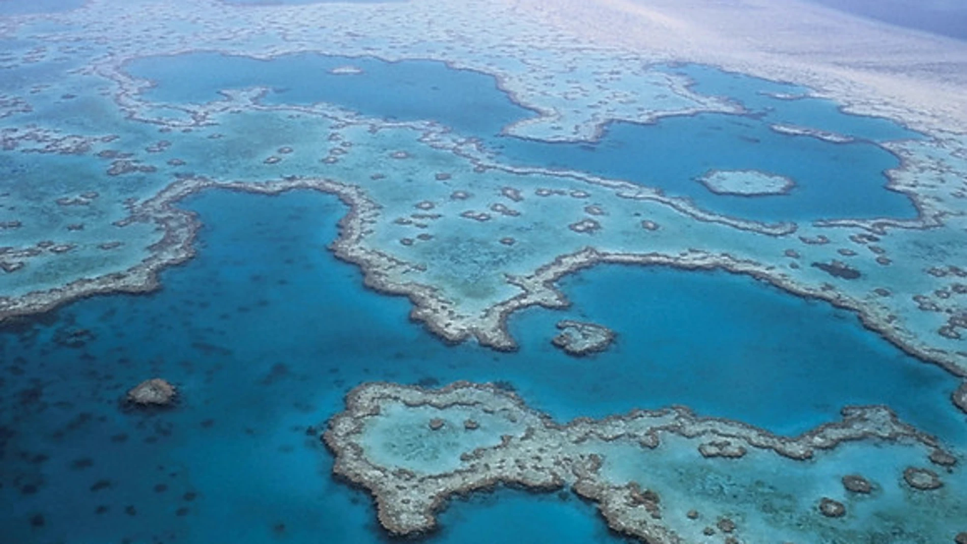La Gran Barrera de Coral australiana / UGR