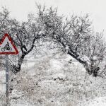En la imagen, un paisaje nevado cerca de la localidad de Utiel, donde fueron suspendidas las clases, así como en otros municipios como Sinarcas