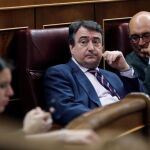 El portavoz del PNV en el Congreso, Aitor Esteban (c), durante el pleno del Congreso de los Diputados, ayer / Efe