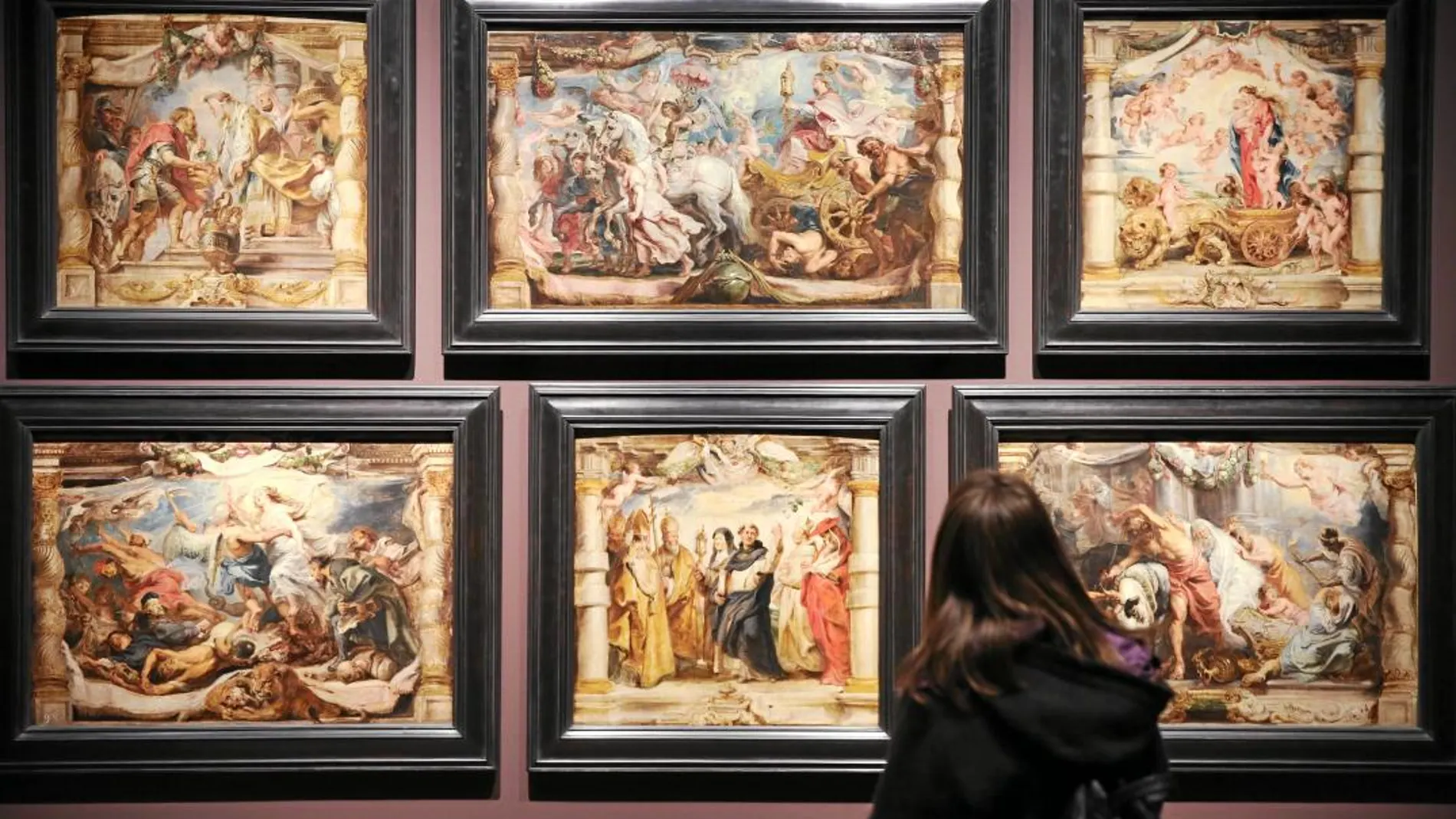 Los bocetos de Rubens cubren una de las paredes de la exposición
