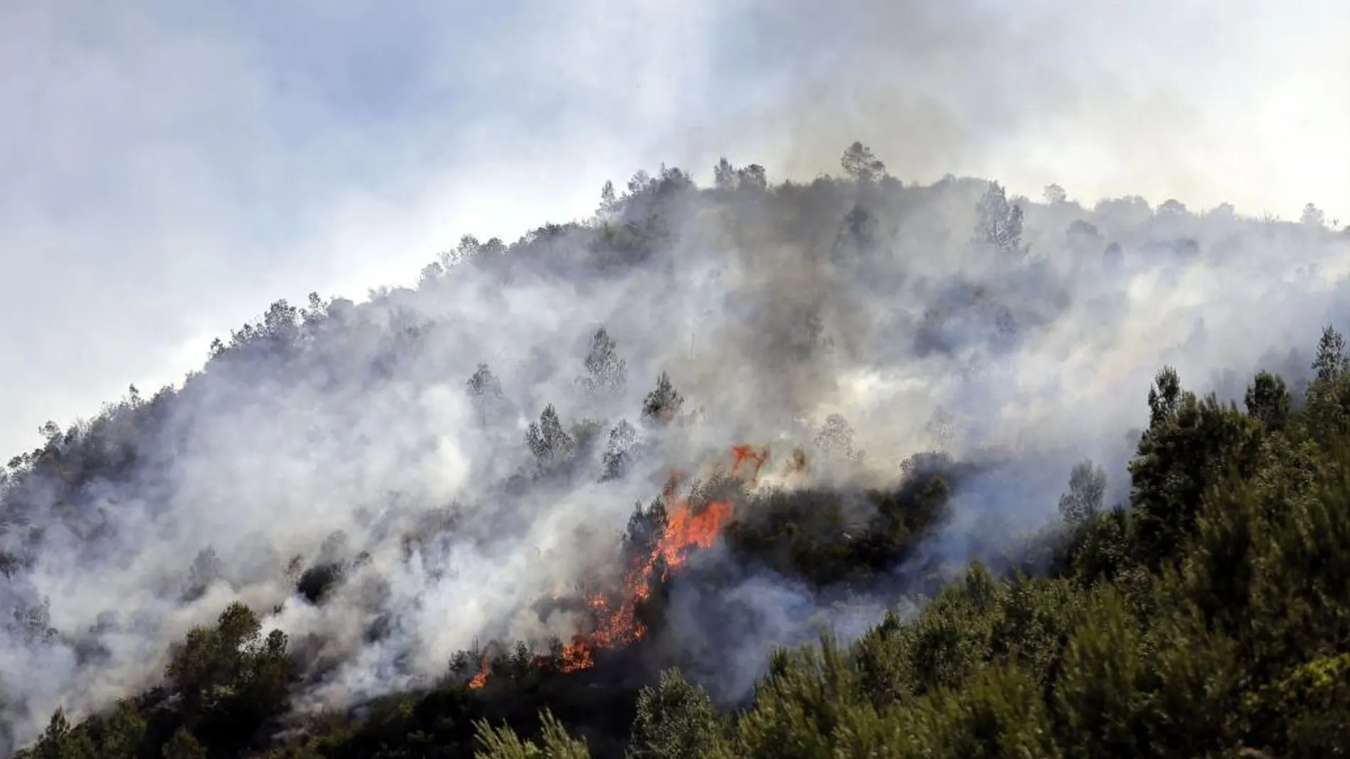 Incendios forestales que afectó en verano de 2019 a los términos valencianos de Bolbaite y Carcaixent