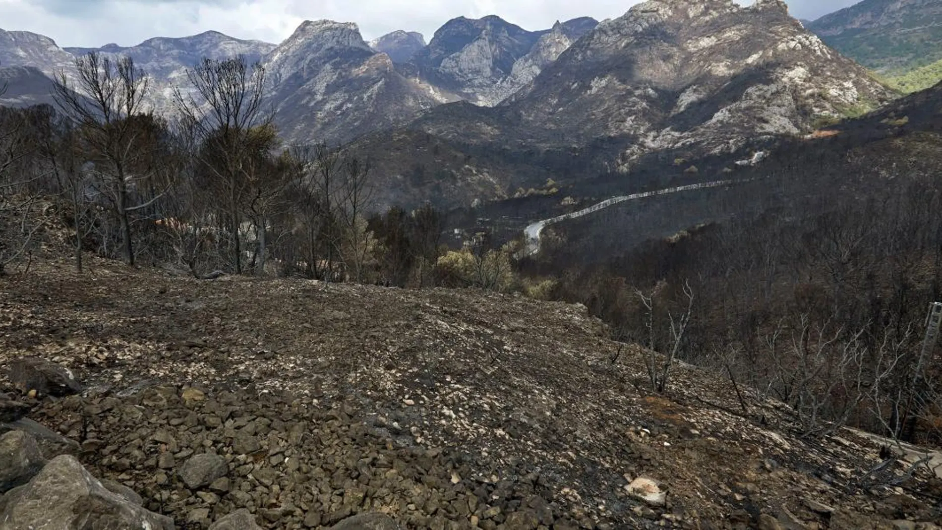 El incendio que comenzó en Llutxent y se extendió por seis términos municipales, arrasó en una semana 3.270 hectáreas. El pasado domingo se dio, por fin, por extinguido/Efe