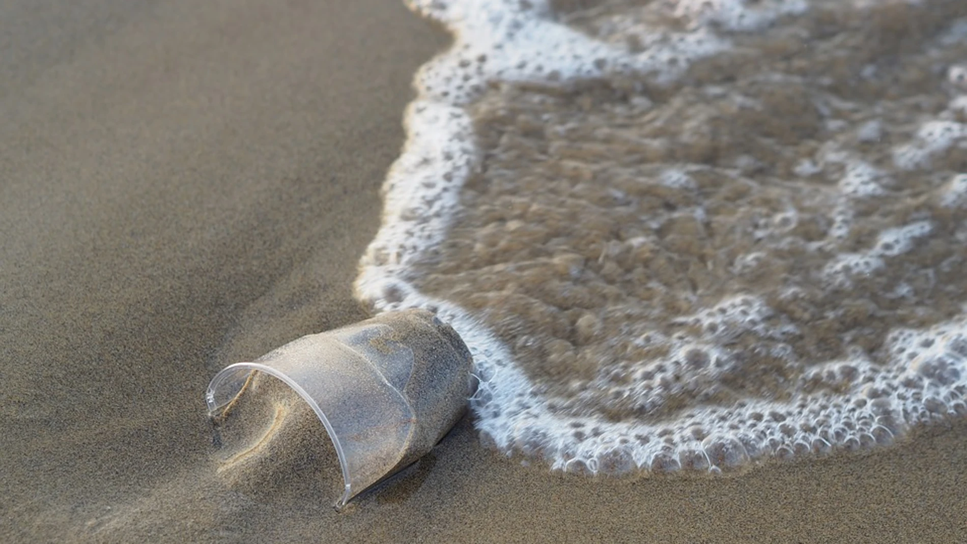 Cómo concienciar a tu hijo de la importancia de cuidar los oceános