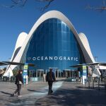 El 47 por ciento de los visitantes que registró el Oceanográfico a lo largo del último año eran extranjeros, principalmente italianos, franceses e ingleses
