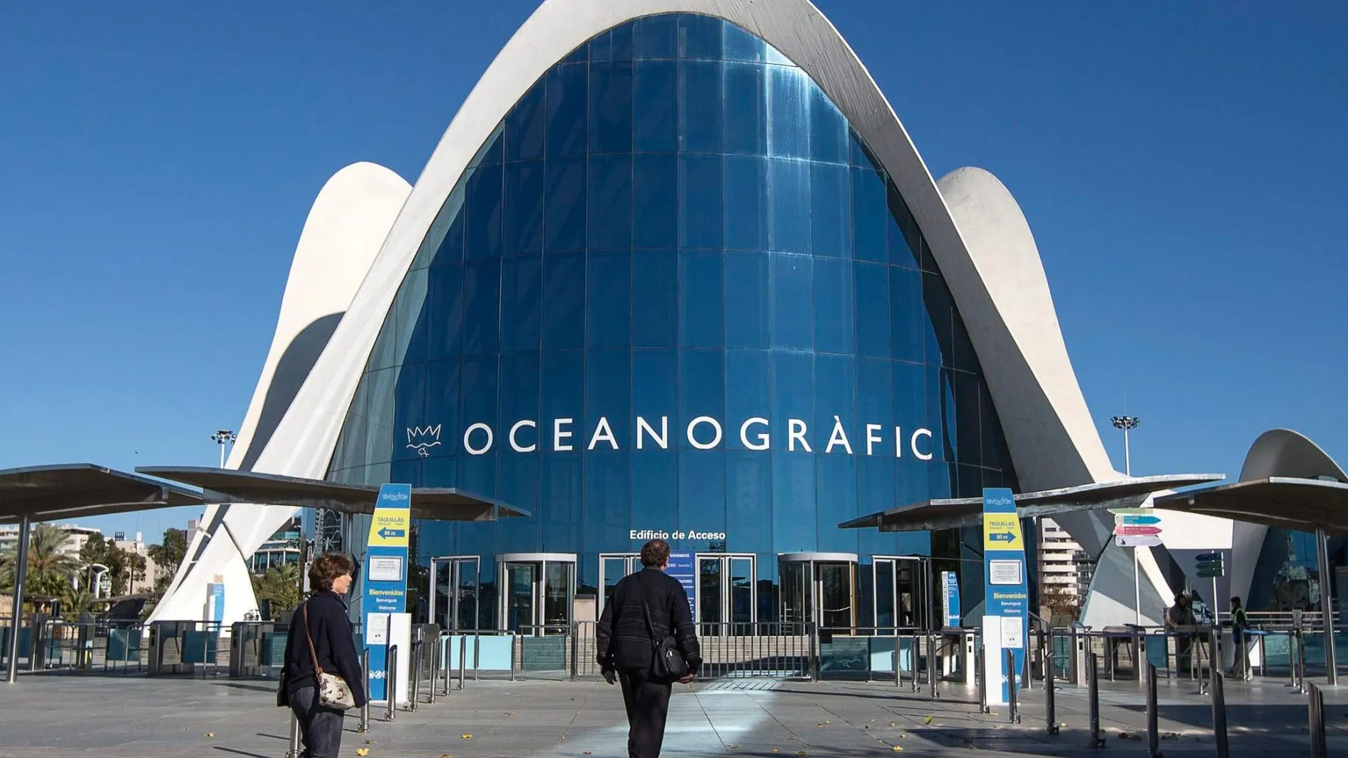 El 47 por ciento de los visitantes que registró el Oceanográfico a lo largo del último año eran extranjeros, principalmente italianos, franceses e ingleses