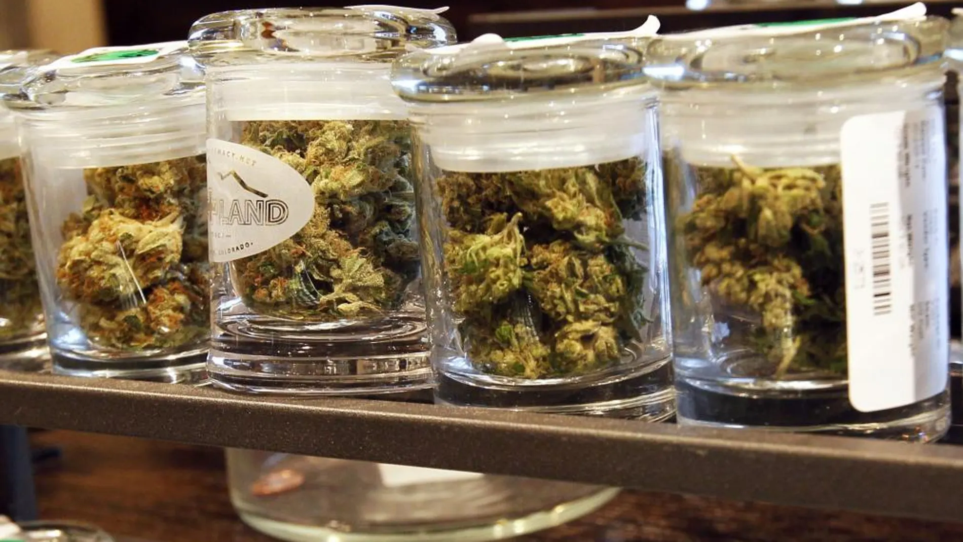 Distintos tipos de marihuana, a la venta en Denver, en Estados Unidos