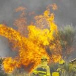 Varios operarios trabajan para sofocar las llamas del incendio de ayer, en Villar de la Yegua, en Salamanc