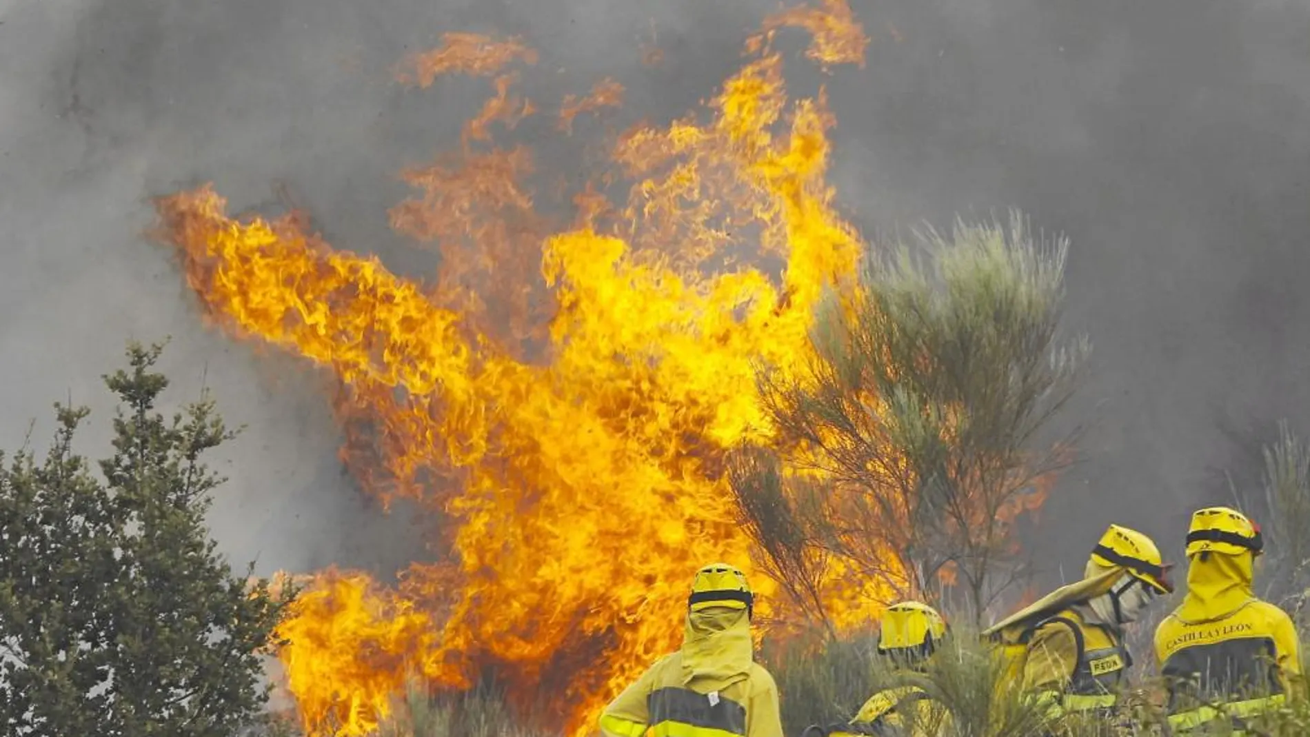 Varios operarios trabajan para sofocar las llamas del incendio de ayer, en Villar de la Yegua, en Salamanc