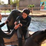 Los jóvenes enamorados en el momento de la pedida