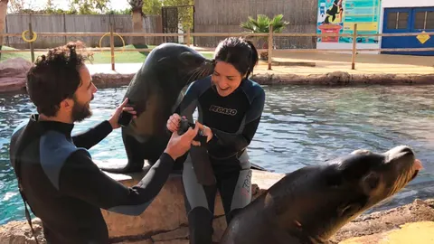 Los jóvenes enamorados en el momento de la pedida