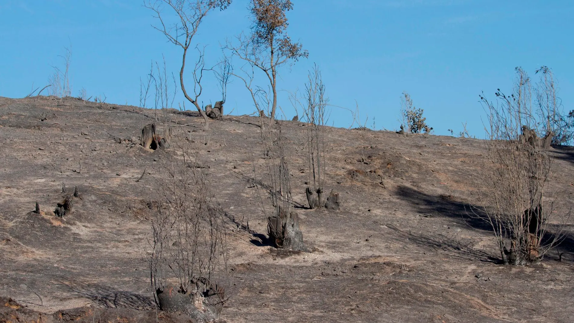 Estado en el que ha quedado el paraje Fuente de la Corcha, en Beas (Huelva), tras el incendio / Foto: Efe