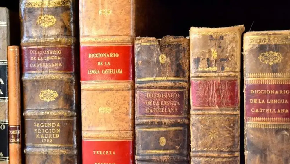 Fotografía de archivo de la solapa de las diferentes ediciones de los diccionarios de la RAE