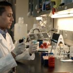 Fotografía cedida por la Florida International University (FIU) donde aparece el científico dominicano John S. Castillo, que forma parte también del Laboratorio de Genética Tropical de FIU, que llevó una investigación que dio con el gen IR8a, un receptor olfativo que funciona junto a otros para la detección de los ácidos en la piel humana / Efe
