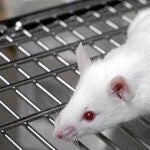 La empresa BioExprorers puso a prueba por primera vez este dispositivo en un centro comercial de Tel Aviv