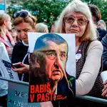  El partido populista del primer ministro checo gana las europeas