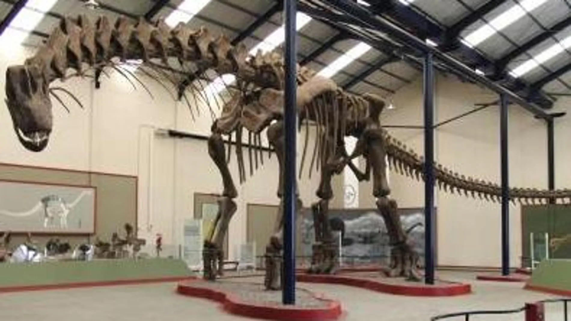Reconstrucción del dinosaurio en el Museo Municipal Carmen Funes, en Neuquén, Argentina