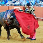 Octavio Chacón da un muletazo, ayer, en el cierre de la Feria de Abril. Foto: MANUEL OLMEDO
