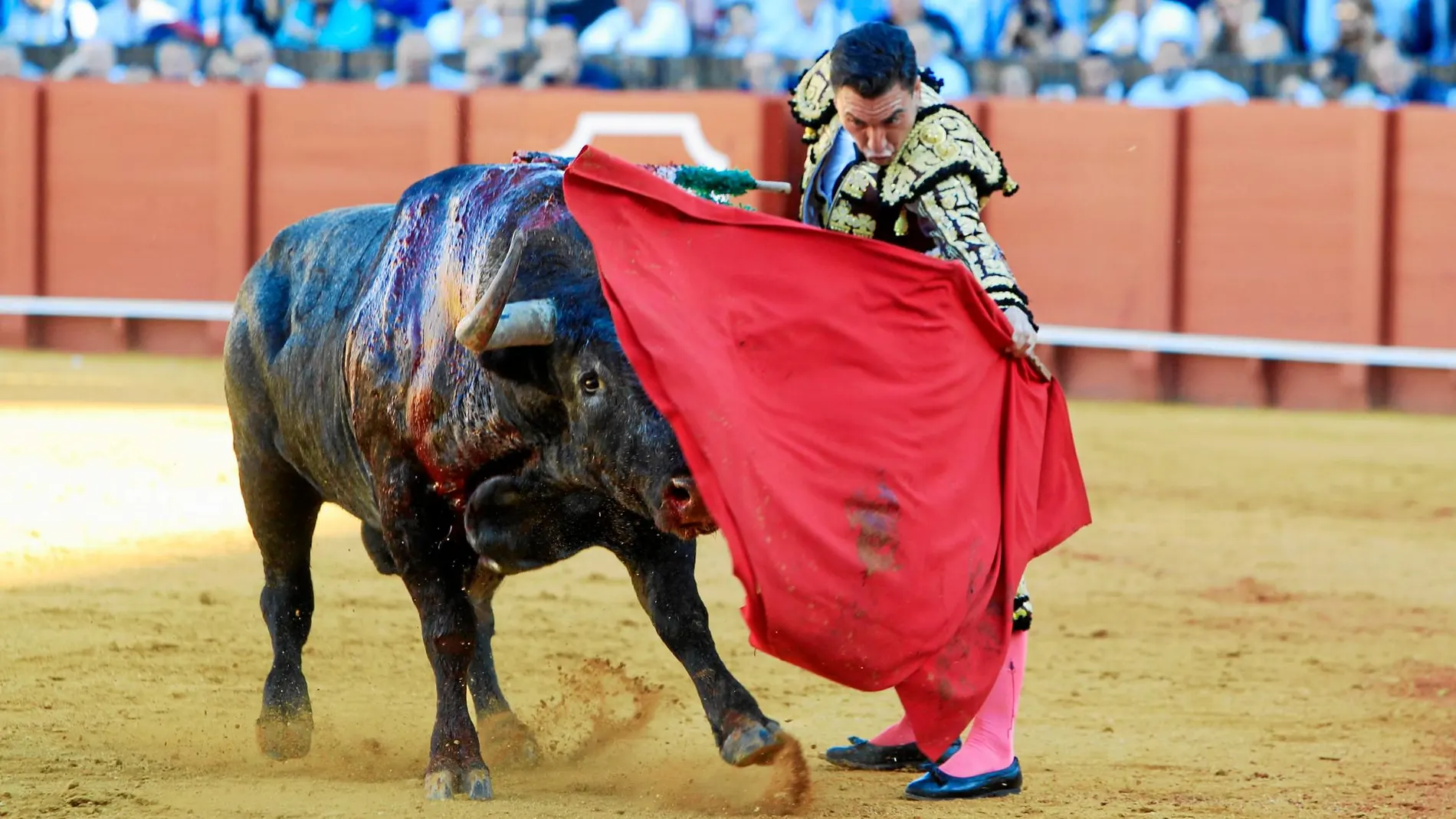 Octavio Chacón da un muletazo, ayer, en el cierre de la Feria de Abril. Foto: MANUEL OLMEDO